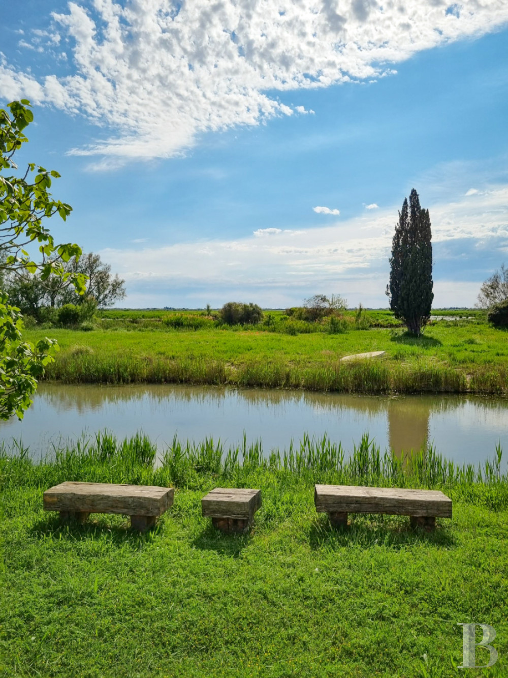 A farmhouse set amidst the marshes north of Saintes-Maries-de-la-Mer, in the Camargue - photo  n°4